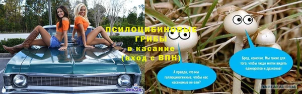 тгк Армянск